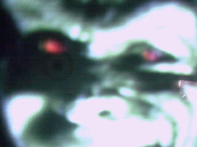 Lep in Da hood.....................come to do nooo goooood......